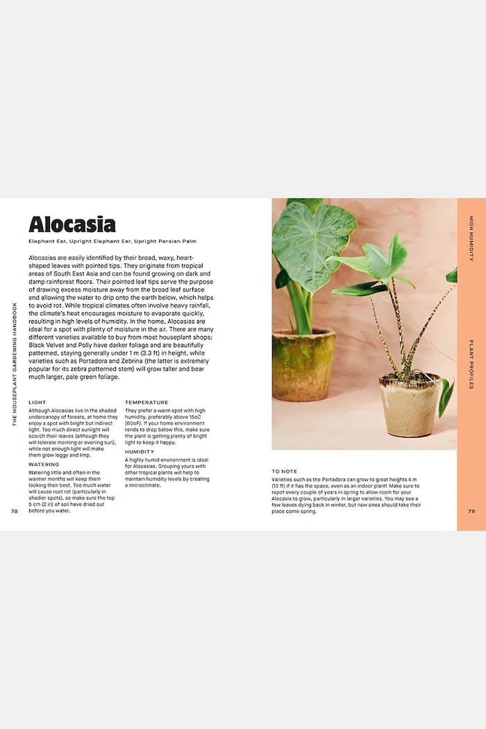 home & lifestyle book Houseplant Handbook by Maddie and Alice Bailey, English — photo 3