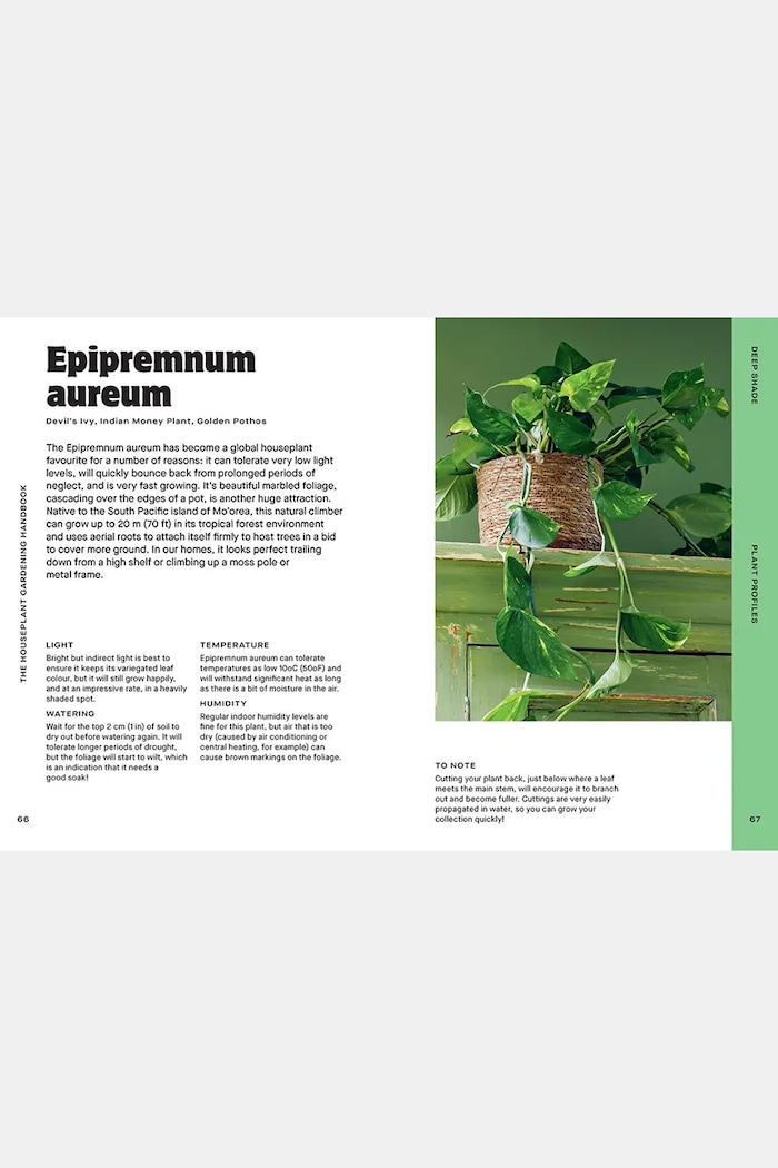 home & lifestyle book Houseplant Handbook by Maddie and Alice Bailey, English — photo 4