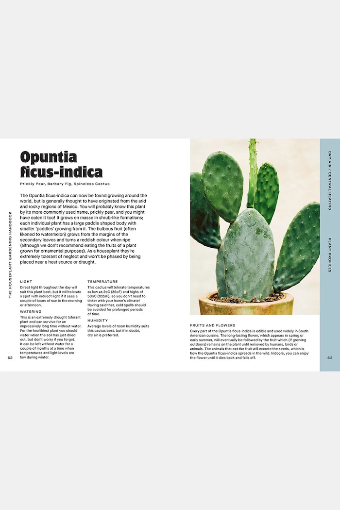 home & lifestyle book Houseplant Handbook by Maddie and Alice Bailey, English — photo 5