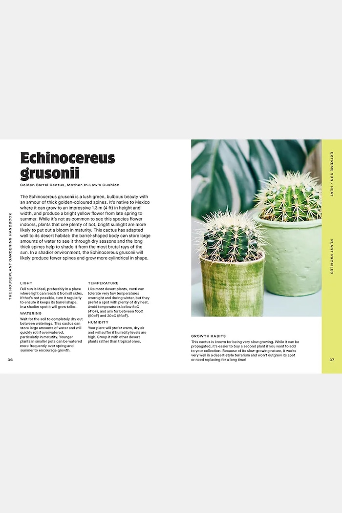 home & lifestyle book Houseplant Handbook by Maddie and Alice Bailey, English — photo 6