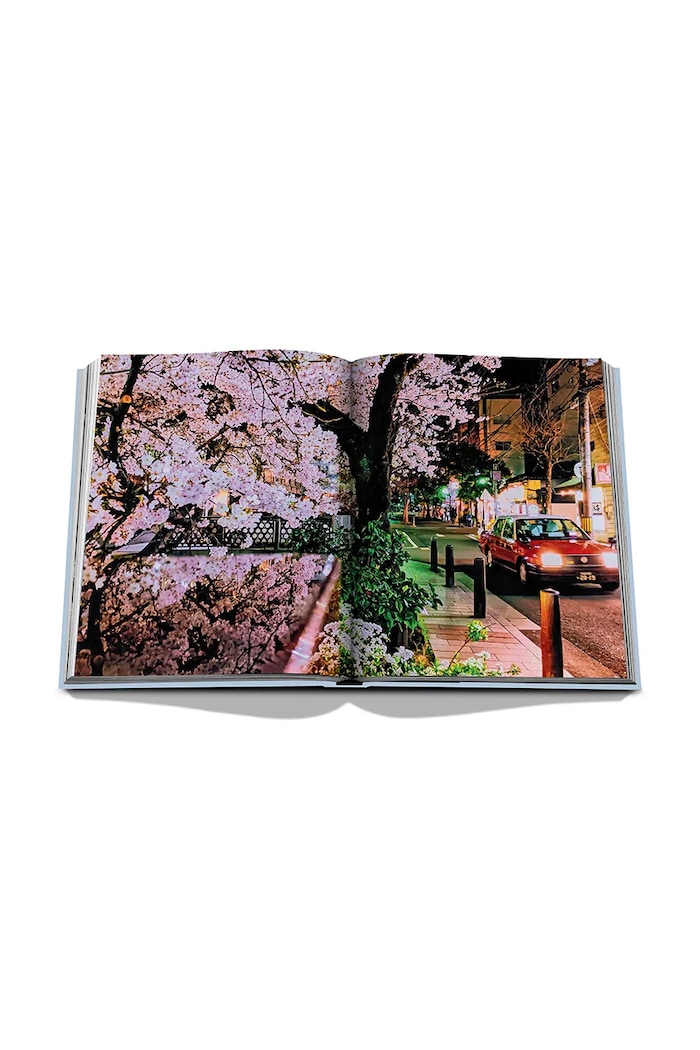 Assouline book Kyoto Serenity by François Simon, English — photo 4