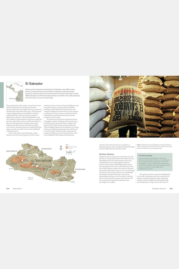 home & lifestyle book The World Atlas of Coffee, English — photo 2
