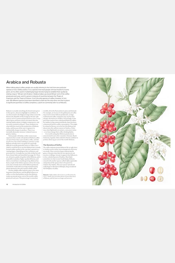 home & lifestyle book The World Atlas of Coffee, English — photo 6