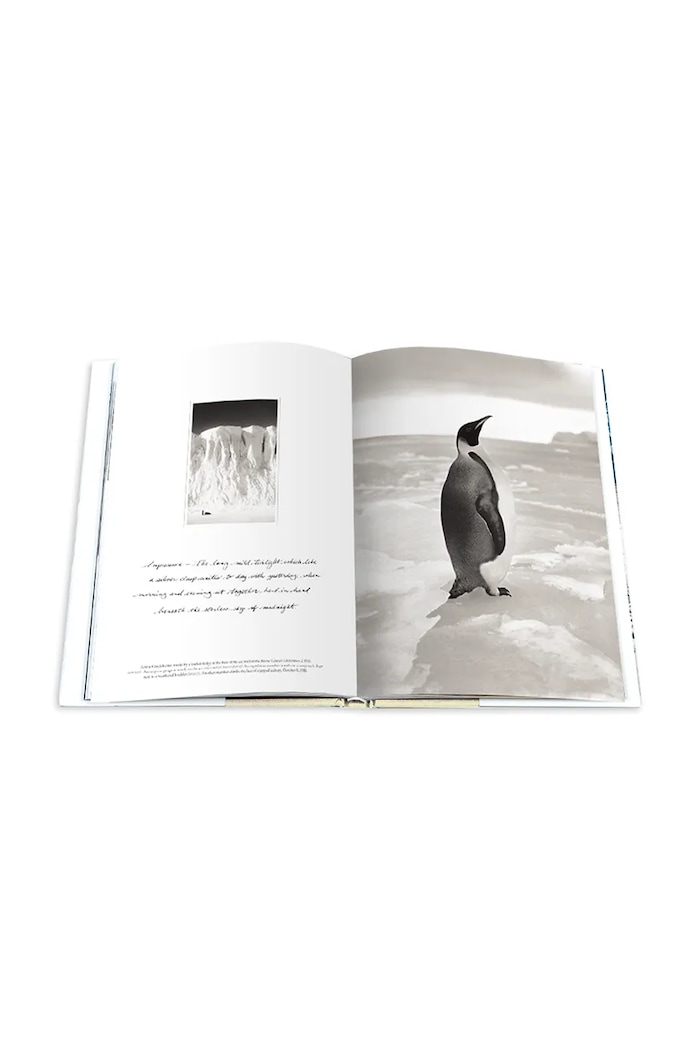 Assouline photo book South Pole: The British Antarctic Expedition 1910, Christine Dell’Amore — photo 8