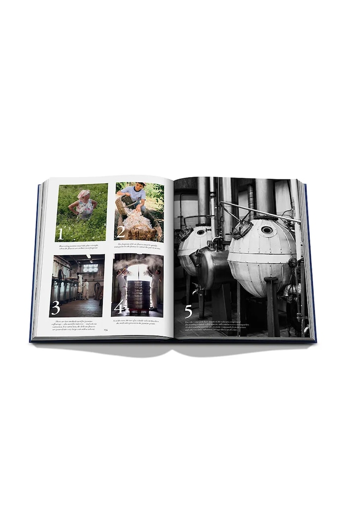 Assouline decorative book Robertet: From Seed to Scent (English), Élisabeth de Feydeau — photo 10