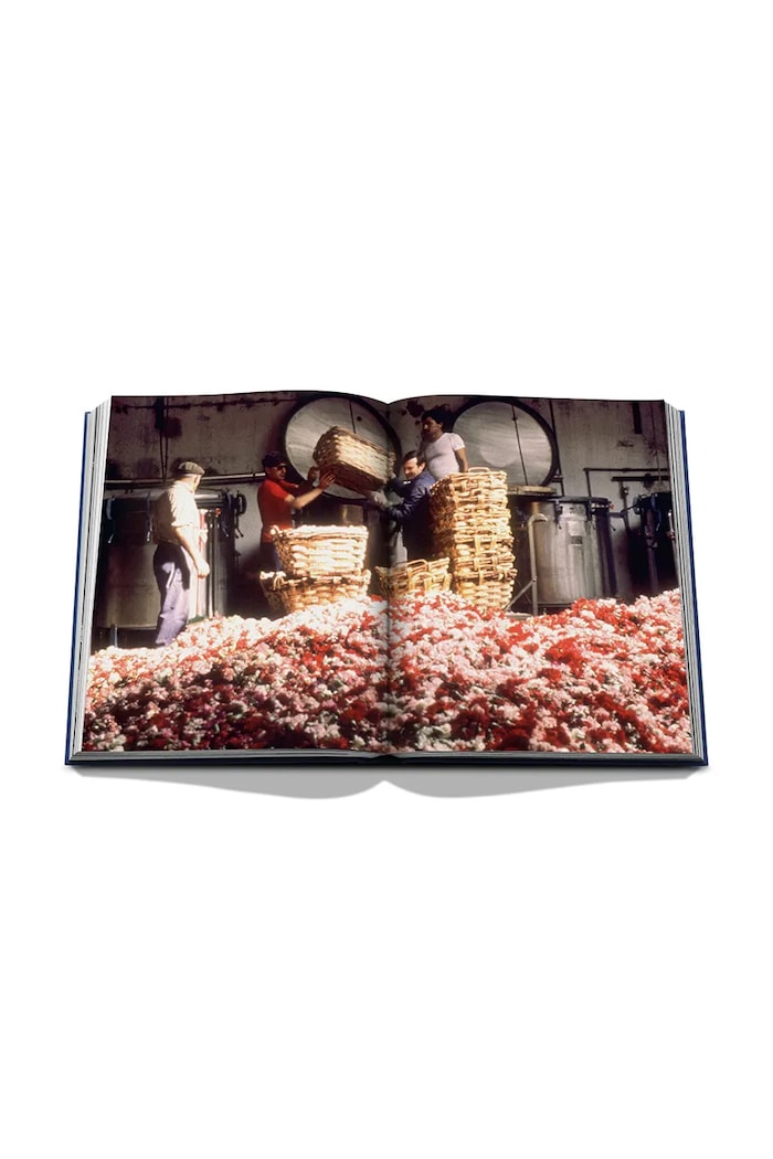 Assouline decorative book Robertet: From Seed to Scent (English), Élisabeth de Feydeau — photo 8