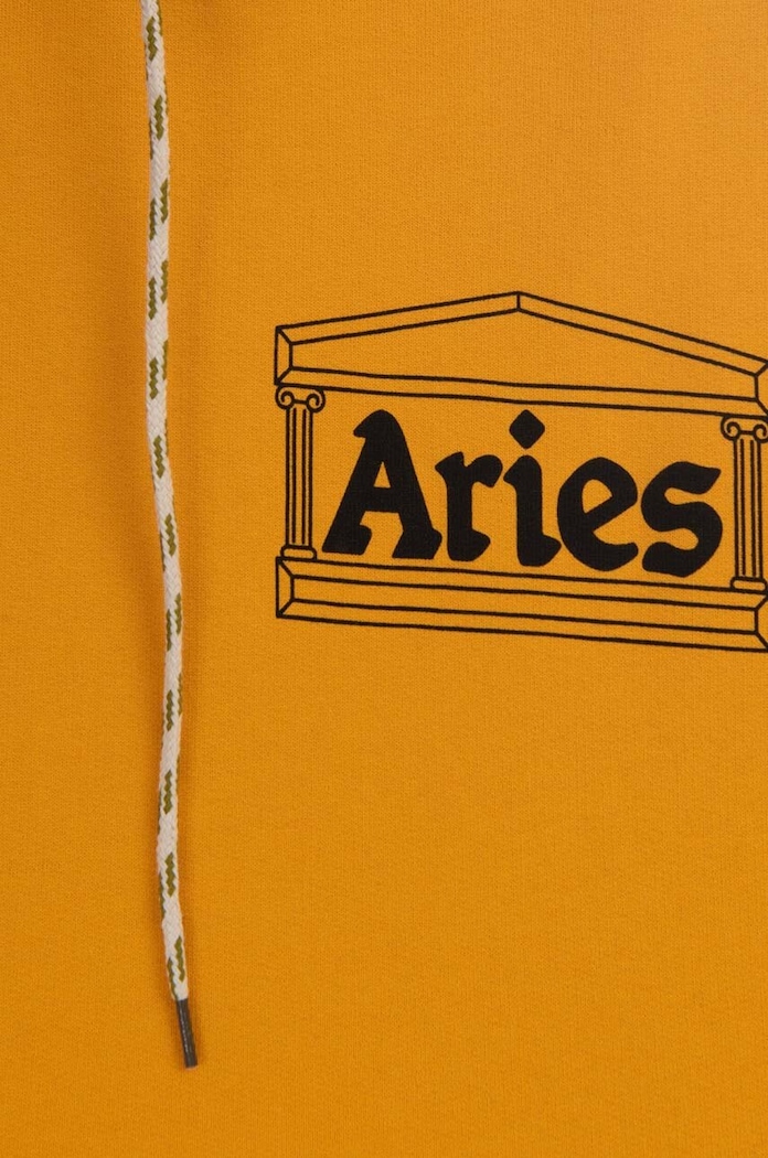 Aries cotton sweatshirt Column — photo 2