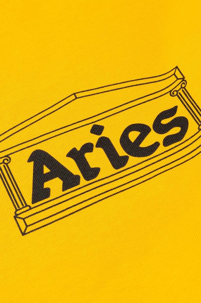 Aries cotton sweatshirt Column — photo 3
