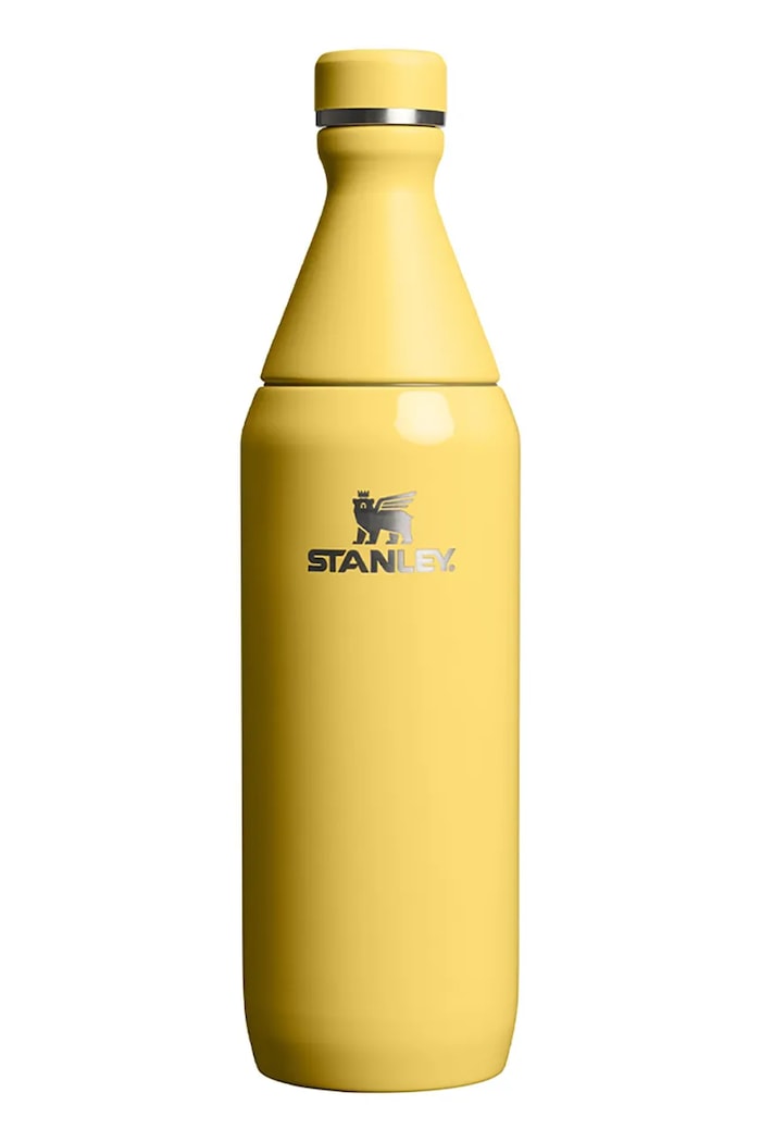 Stanley thermal bottle stainless steel All Day Slim 0,6 l