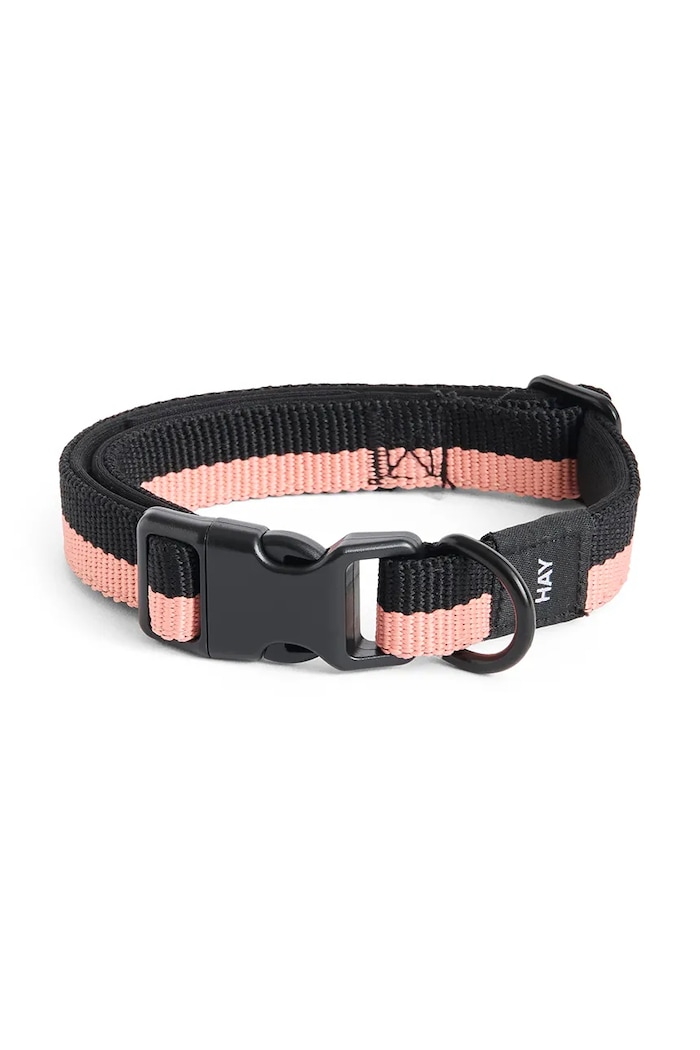 HAY dog collar S/M 2 x 25-45 cm