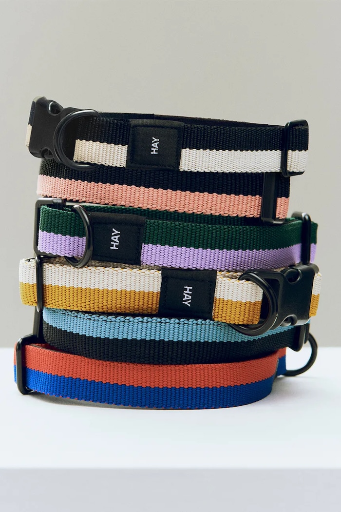 HAY dog collar S/M 2 x 25-45 cm — photo 2