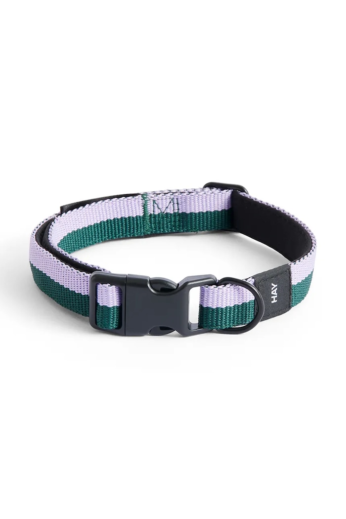 HAY dog collar S/M 2 x 25-45 cm
