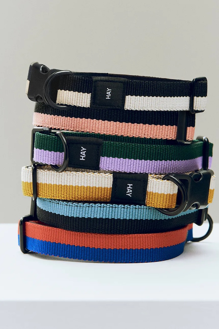 HAY dog collar S/M 2 x 25-45 cm — photo 2