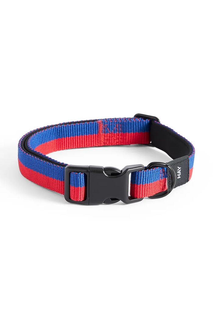 HAY collar for dog 2,5 x 45 cm