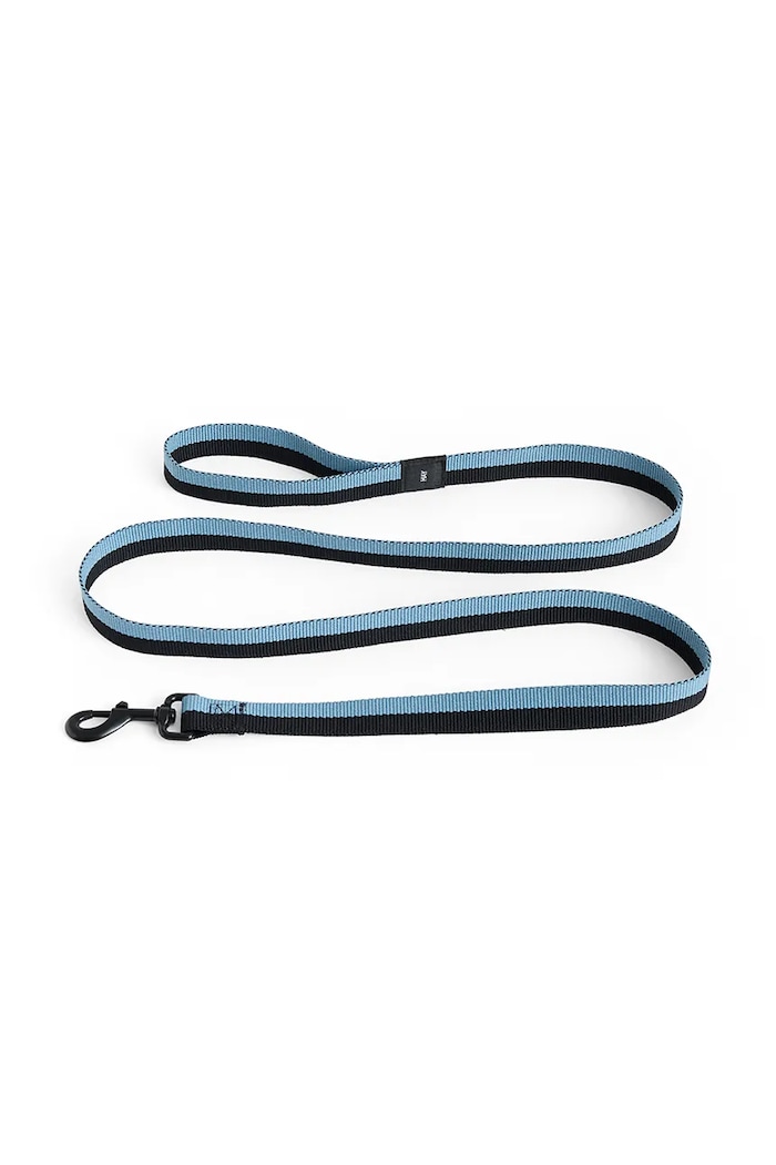 HAY lead for dog 2,5 x 160 cm
