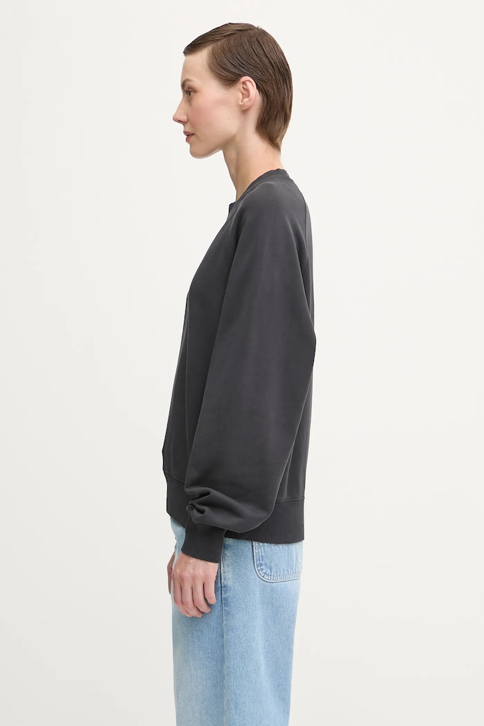 Carhartt WIP cotton sweatshirt W’ Hudson Sweat — photo 2