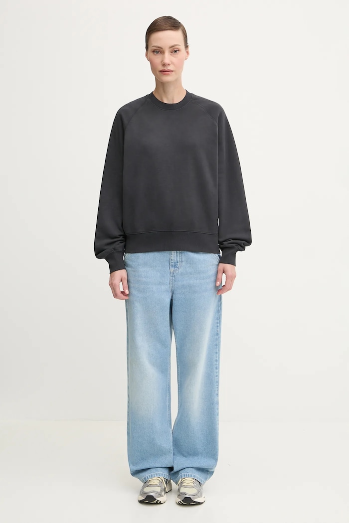 Carhartt WIP cotton sweatshirt W’ Hudson Sweat — photo 5
