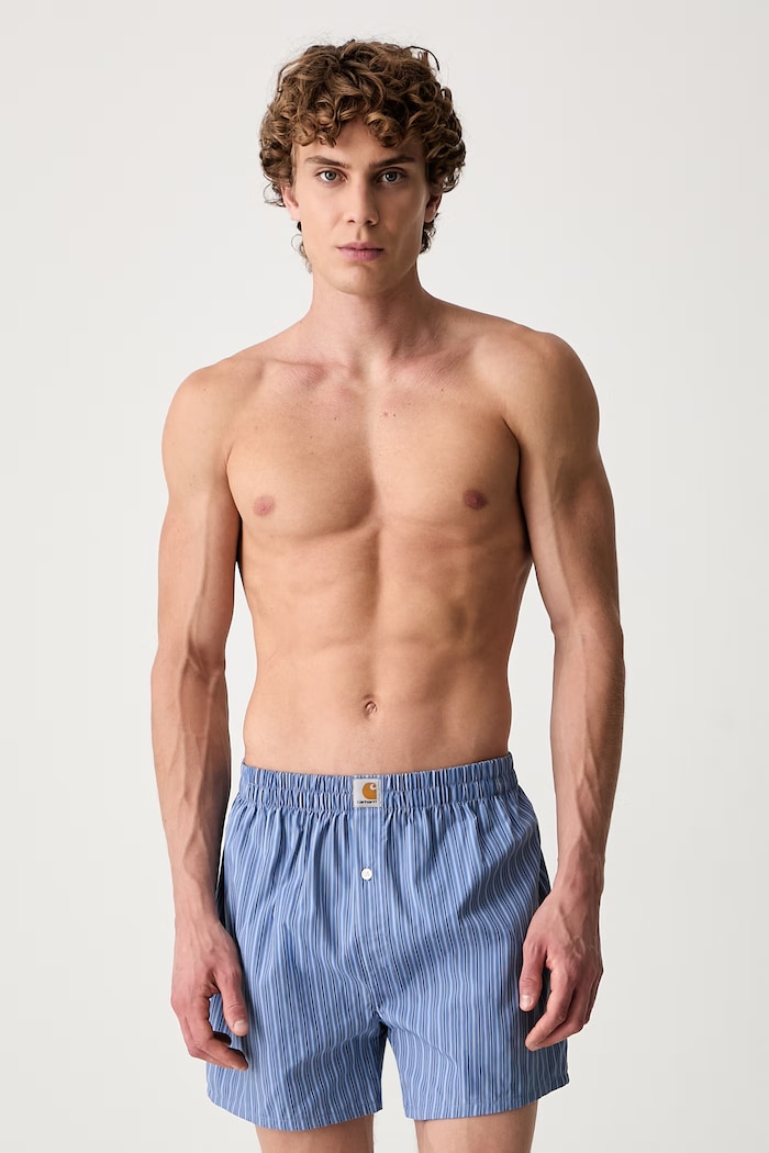 Carhartt WIP Cotton Boxer loose-fitting boxer shorts cotton men's — photo 7