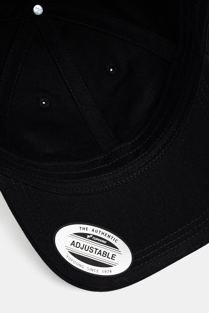 Carhartt WIP World Tour Cap Men's cotton cap with a visor — photo 4